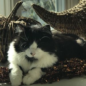 Meet your Posher, Gina